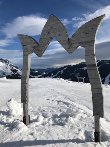 Tauernlodge Sonnblick Top 3 Mühlbach am Hochkönig Dış mekan fotoğraf